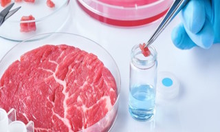 Лабораторный анализ пищевых продуктов по СанПиН в Сланцах в октябре