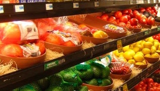 Сертификация пищевой продукции в Сланцах – цена от 10332 руб. | ПромМир-Слы